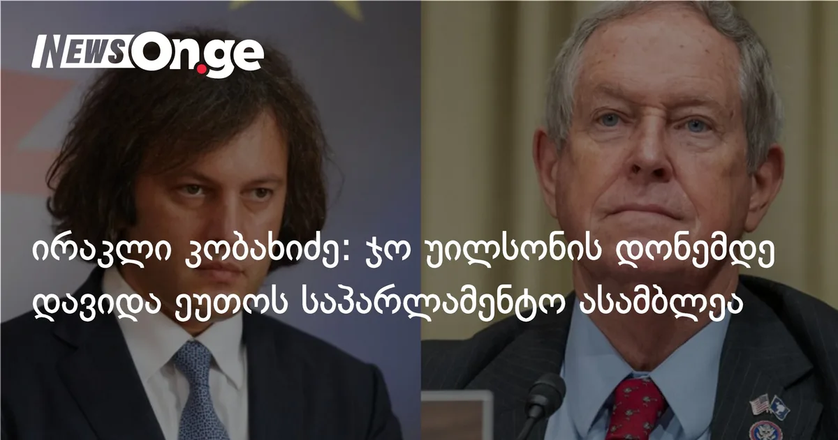 ირაკლი კობახიძე: ჯო უილსონის დონემდე დავიდა ეუთოს საპარლამენტო ასამბლეა